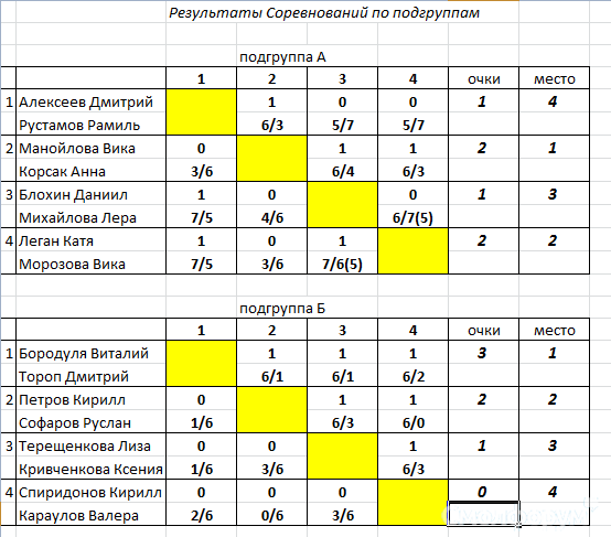 Короли Асф 2013 рез2.PNG