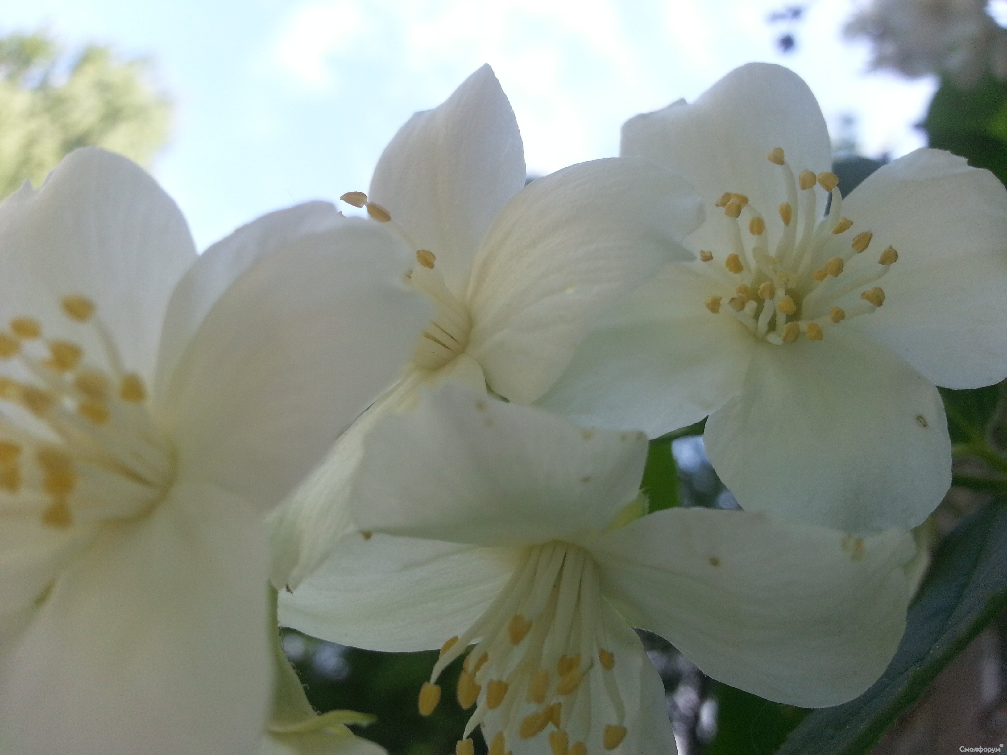 20130607_100117_2.jpg
